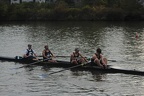 IMG 7162
